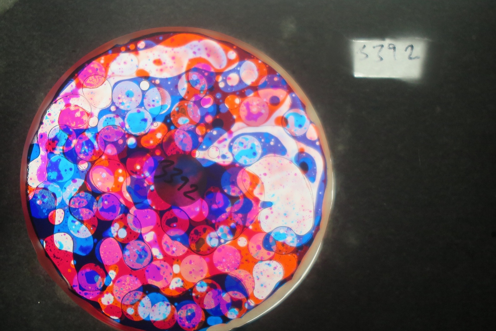 BV3392 bubble vision oil wheel